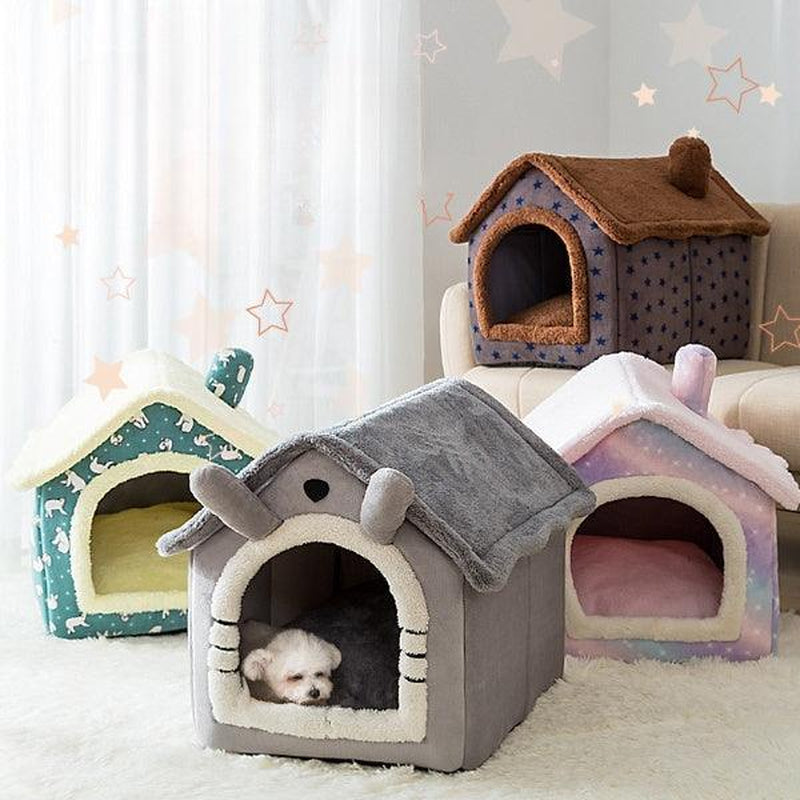 Heavenly Retreat Pet Oasis: the Ultimate Haven for Small Dogs and Cats